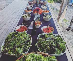 salad bar
